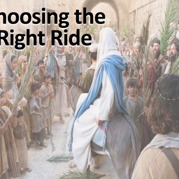 Choosing the Right Ride