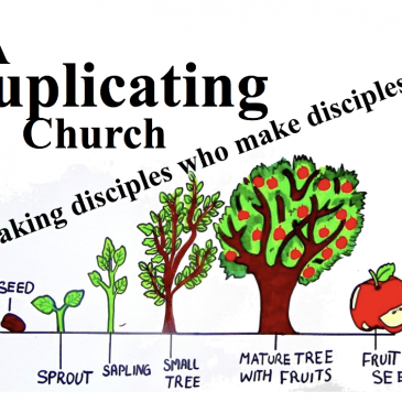 A Duplicating Church