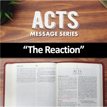 “The Reaction”